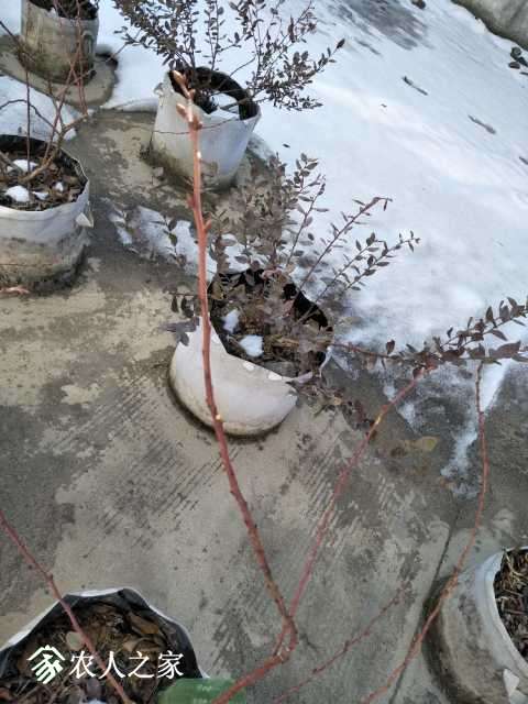 IMG20180206102026.jpg