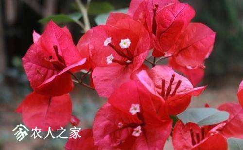 140510xuua86qq3nnrotrq.jpg
