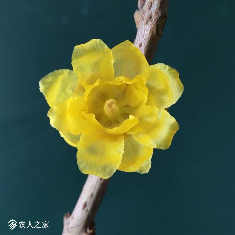 143509oaytydyr6yhrci6y.jpg