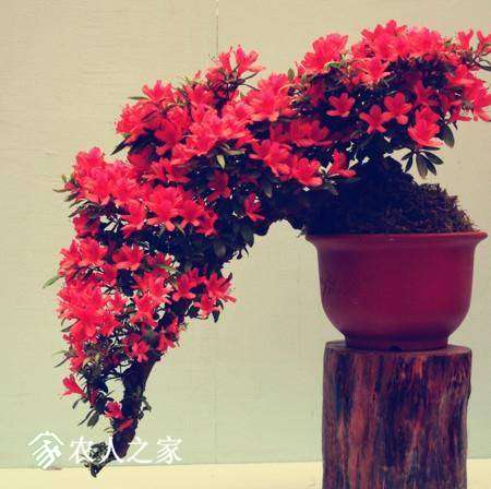 143951uhlsrdrv1lcfl9vj.jpg