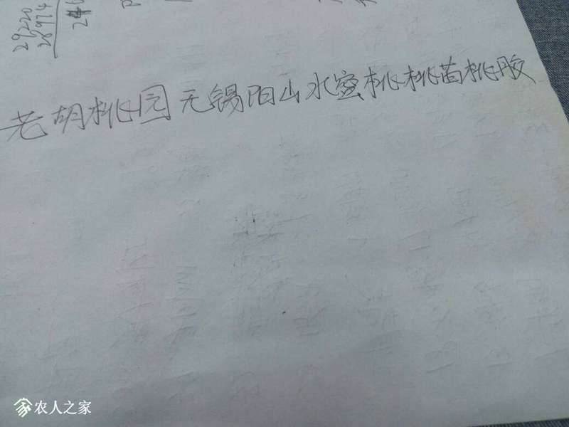 174910naoc4pdntfxnsoow.jpg