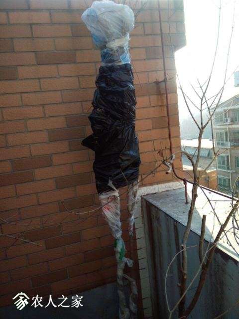 QQͼƬ20180207091651.jpg