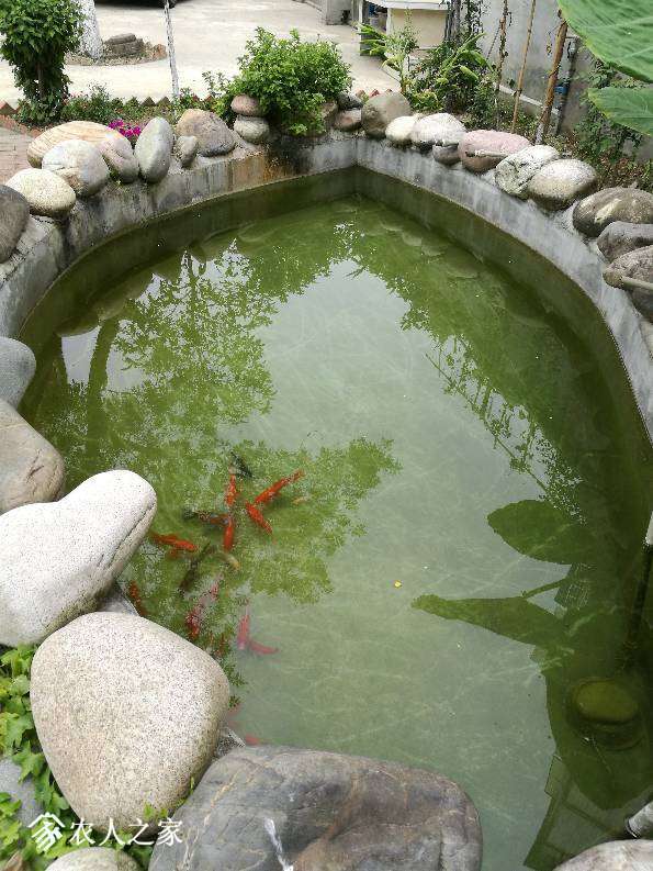 220828lgji3ffmdugfmgo2.jpg
