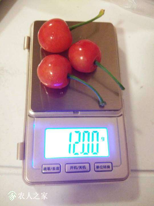 125821hxgozgeajzl8azwz.jpg