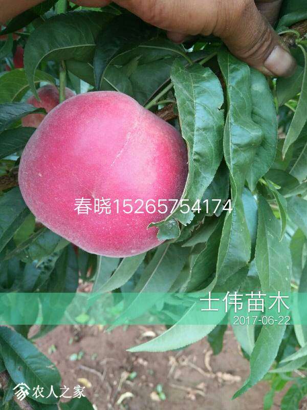 140347tnc6ui1z1ixunjxx.JPG