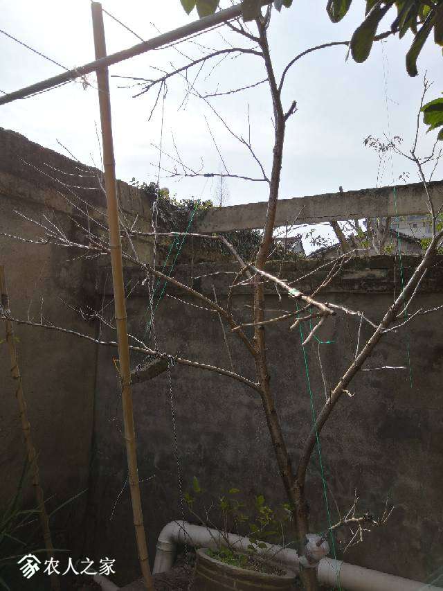 152402kc0rrc4338cr874r.jpg