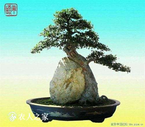 u=1298238549,98963911&amp;fm=27&amp;gp=0.jpg