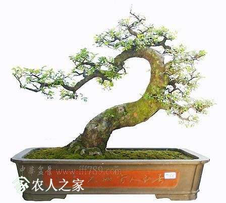 u=2117458829,2735774775&amp;fm=27&amp;gp=0.jpg