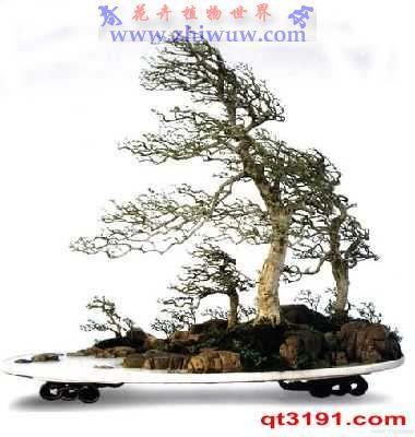 u=2172664478,1893562953&amp;fm=27&amp;gp=0.jpg