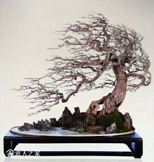 203602xwmim2v6wowjvvwi.JPG