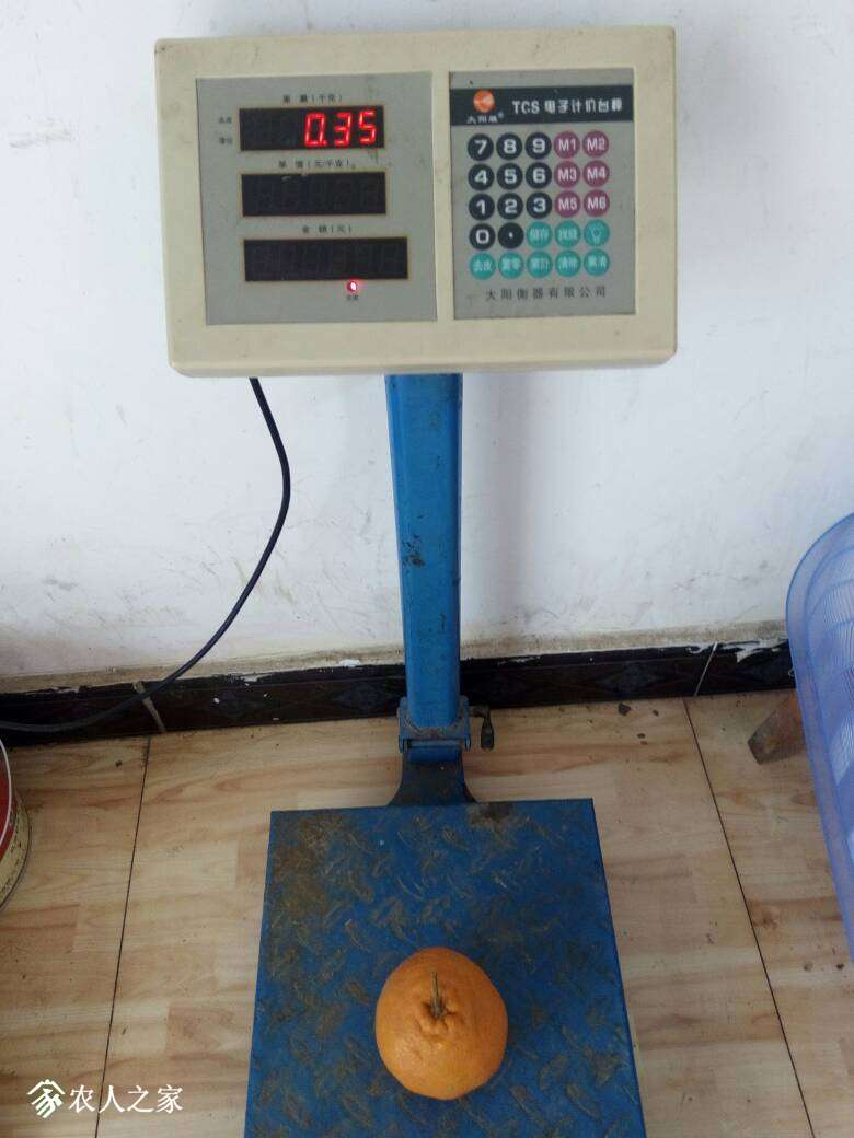 090440az3mqtz9a2q9otpm.jpg