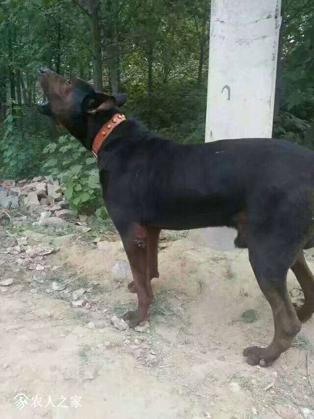 210709lwwgtqzvgw9slfg1.jpeg