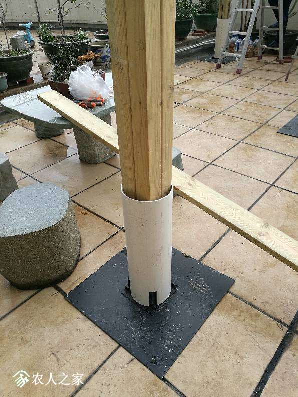 115044ttmullylli1pft0l.jpg