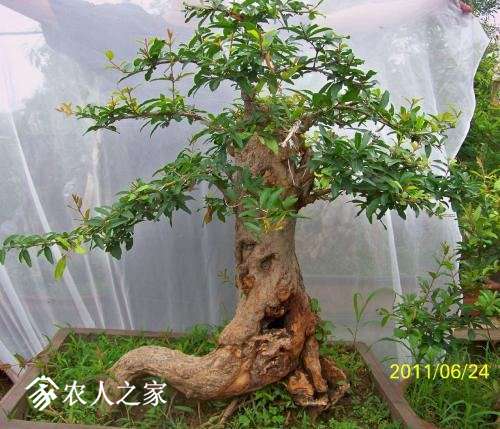 u=3407324244,10696806&amp;fm=27&amp;gp=0.jpg