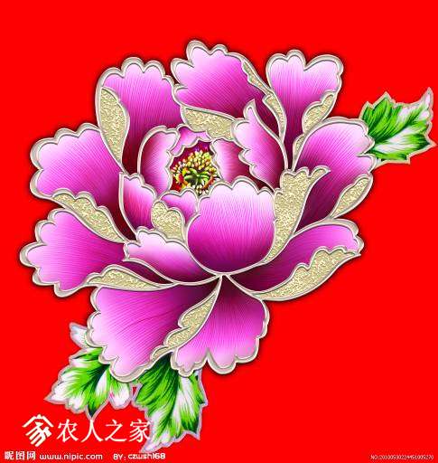 085841wb1ai9eiob616iza.jpg
