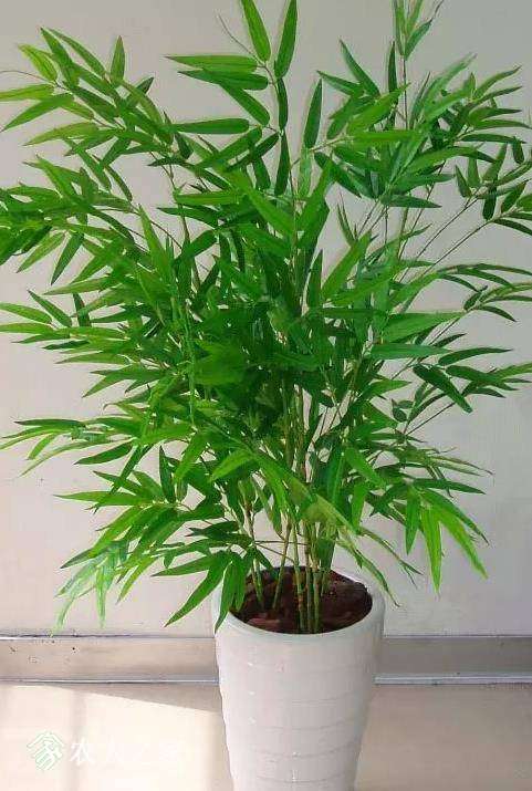 085929puoo3bjx3l9zy2u3.jpg