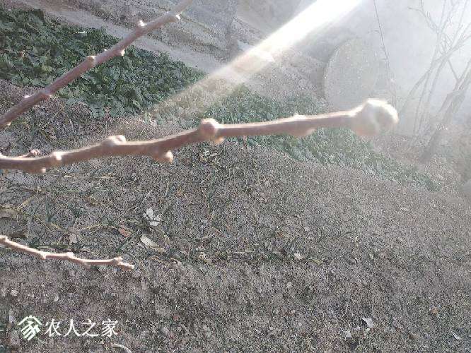 101257ivtoteto949mpoti.jpg