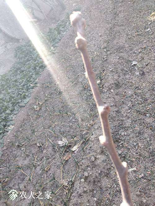 101258g2y7ayuuu2lcfkkg.jpg