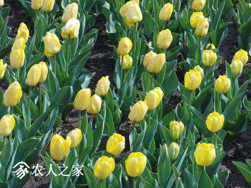 004933dgzp771o9jhi61oz.jpg