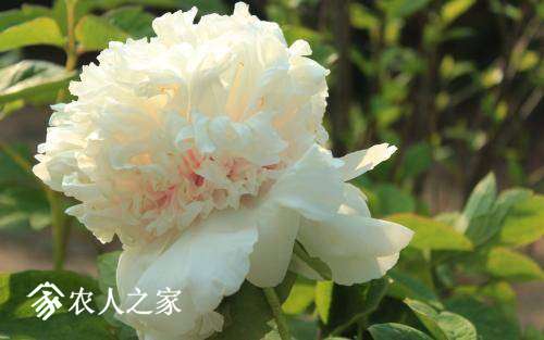 010629hgpkmokpb8g2kkbw.jpg