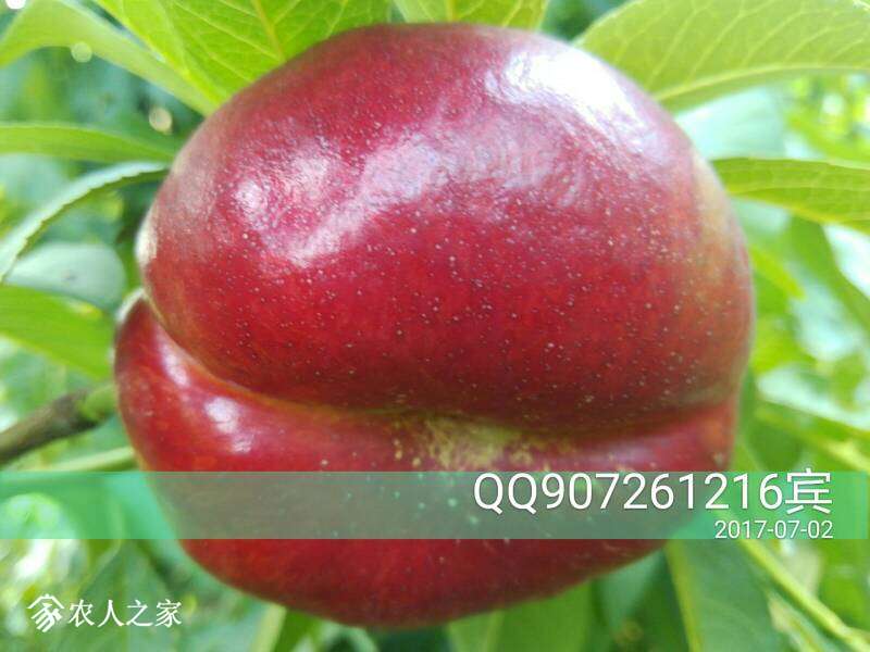 120609t8z2zqq784i024lq.jpg