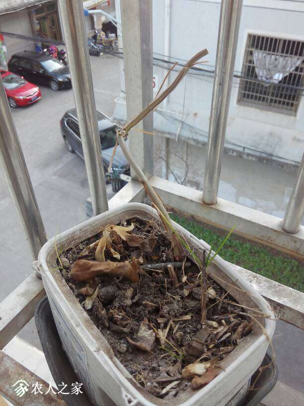 180248vjcpt2yyrjuun7fm.jpg
