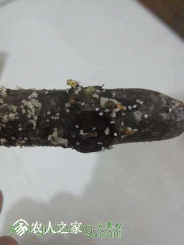 234329qcl40arj6ccajilz.jpg