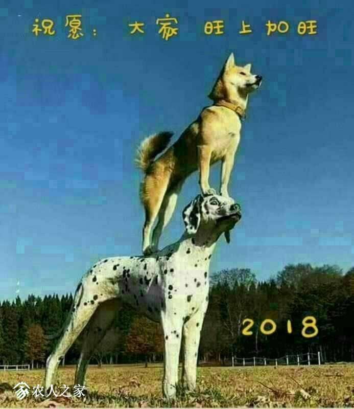 000224g92m2v13d3fvmi93.jpg