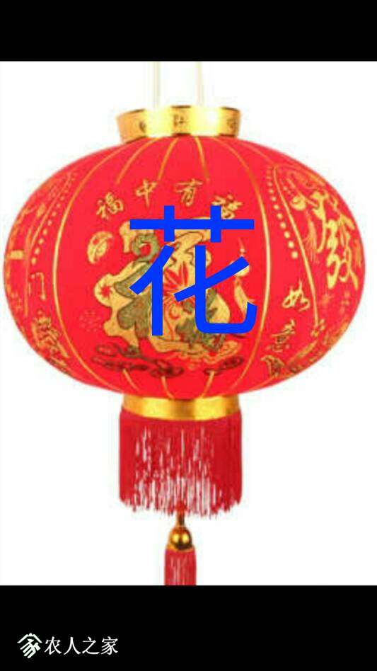 081041ezyxxxi15xv49uye.png