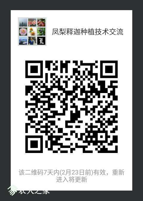 115133xp3o6216xpp6zr9h.png
