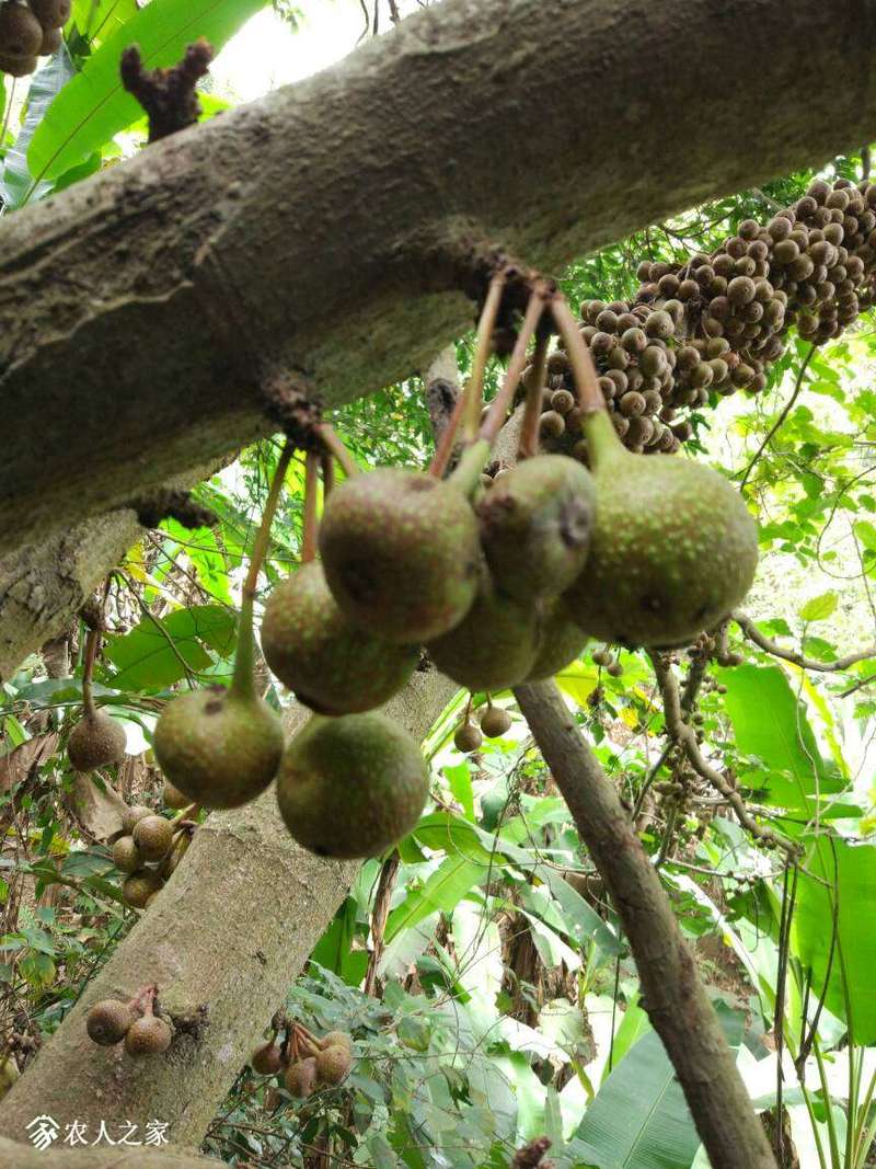 210808g0xkk56ub5uzu5rj.jpg