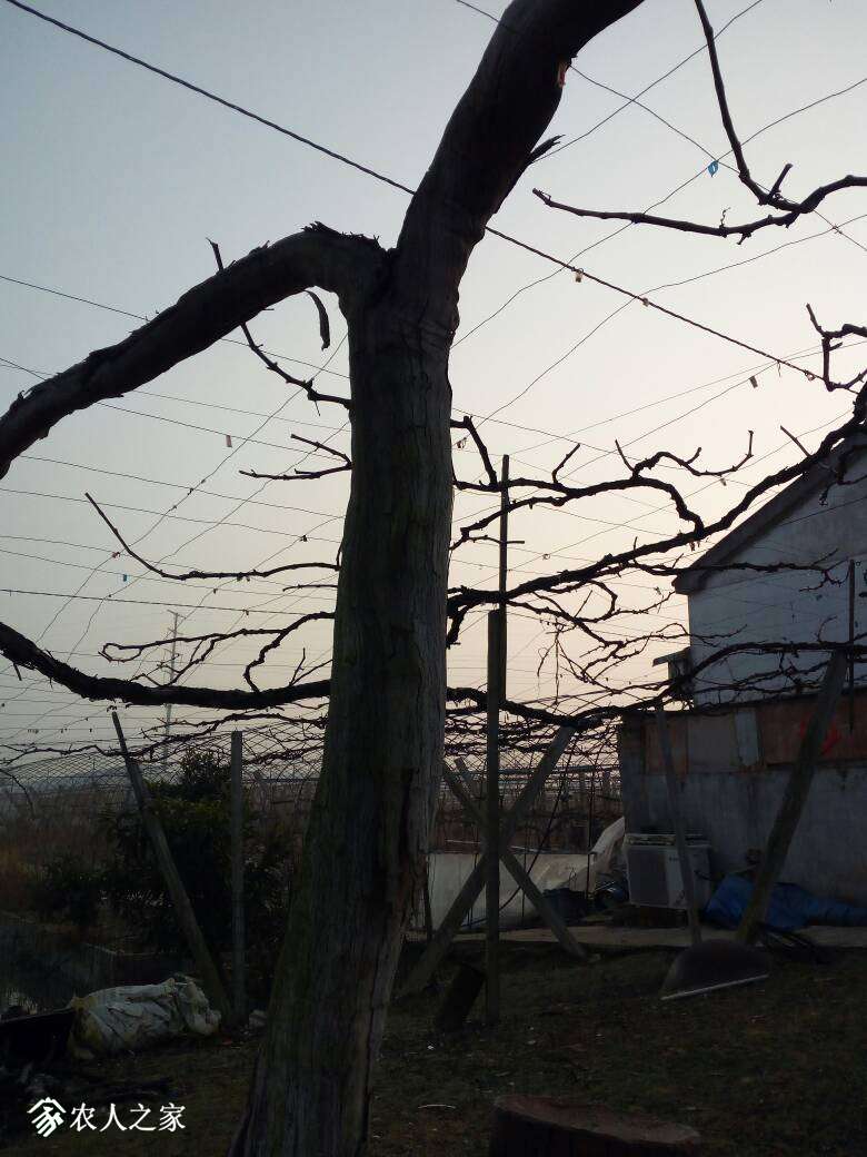 074628kyjjg3eecj6cc00y.jpg