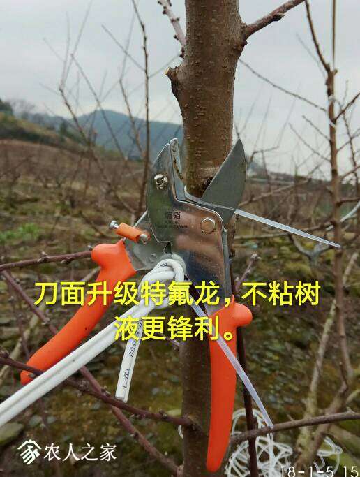 204504vralmb9gkb6h4agn.jpg