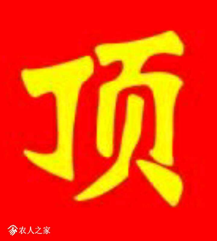 050602dowo3zuoqqyq9lol.png