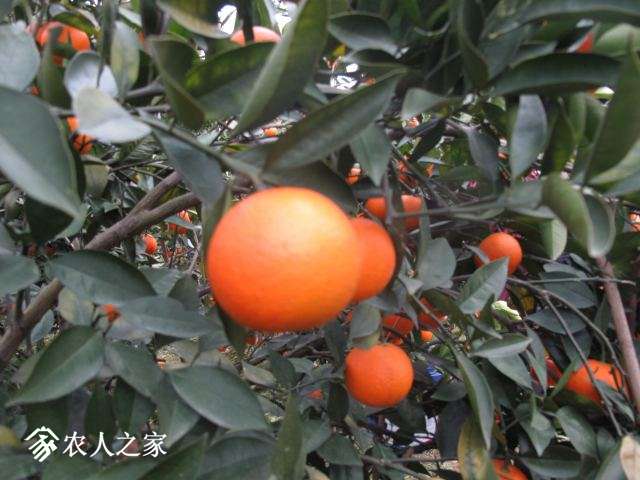 IMG_7531.jpg