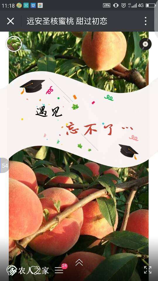 112039qav1bmsddzfvvzi4.png