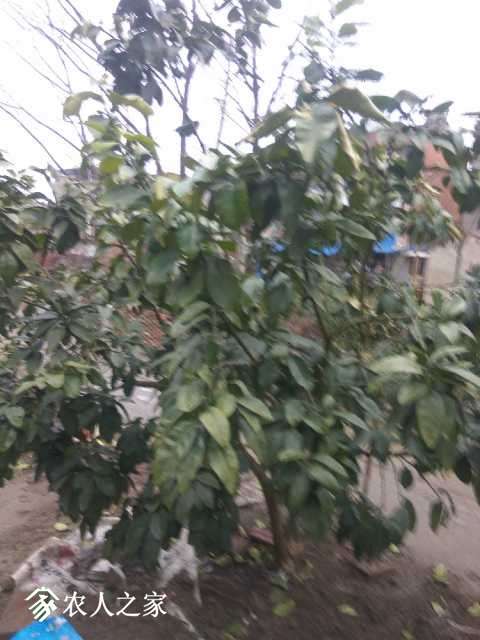 IMG_20180220_165448.jpg