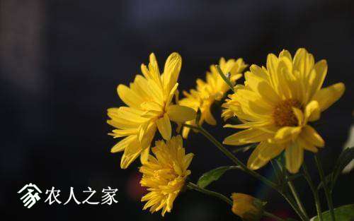 104004lev5g6ge2eroc02f.jpg