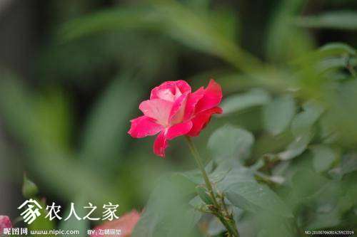 104031qp550qis3sqyz59c.jpg