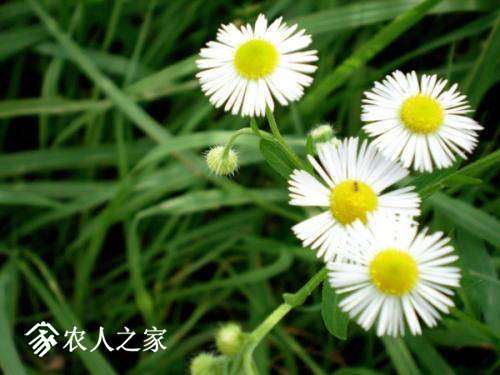 104031svox9x5cuuc41jox.jpg