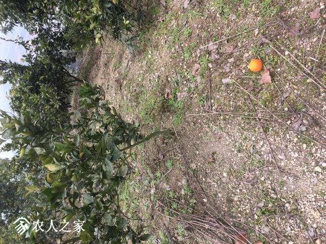 ΢ͼƬ_20180221213124.jpg