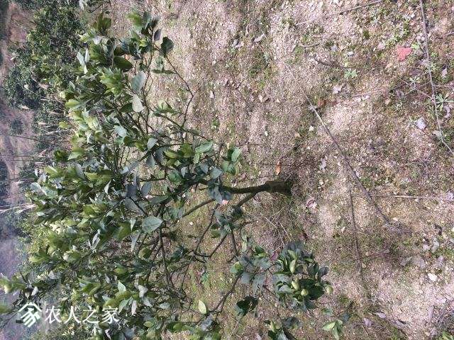 ΢ͼƬ_20180221213146.jpg