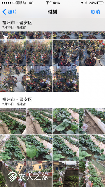 IMG_1441.PNG