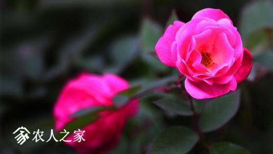085805sdrpyxow9779oyzo.jpg