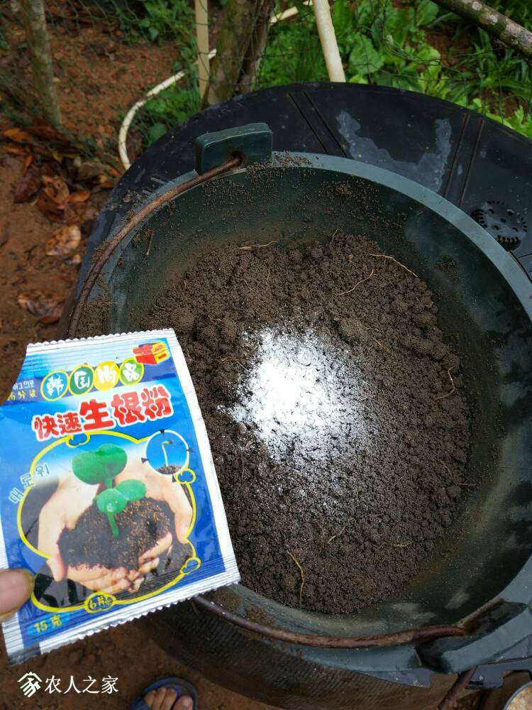 131925ggigwoiooi545a45.jpg