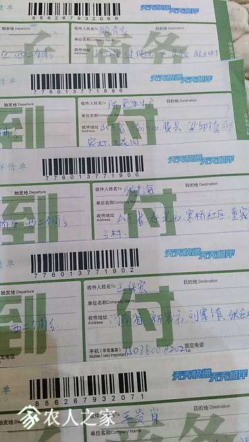 181356koo2ah97oh9nonr2.jpg