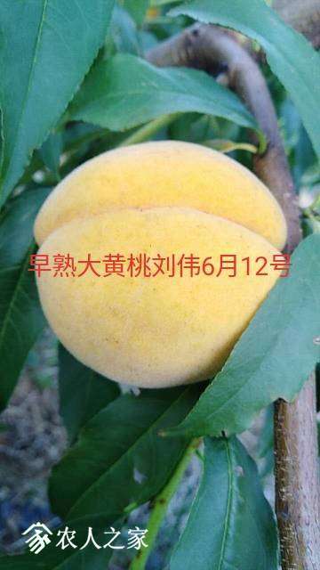 202634n85olf53oo8izyu3.jpg