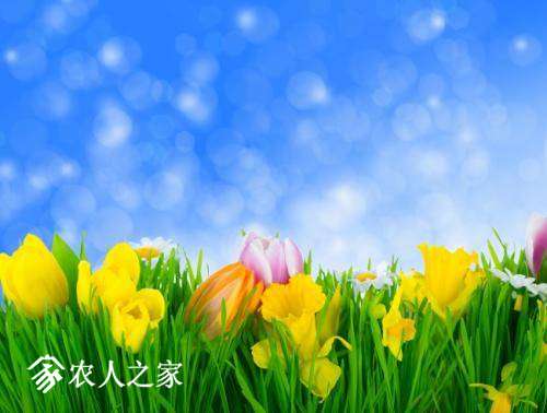 094750co31ogh282o2zc5c.jpg