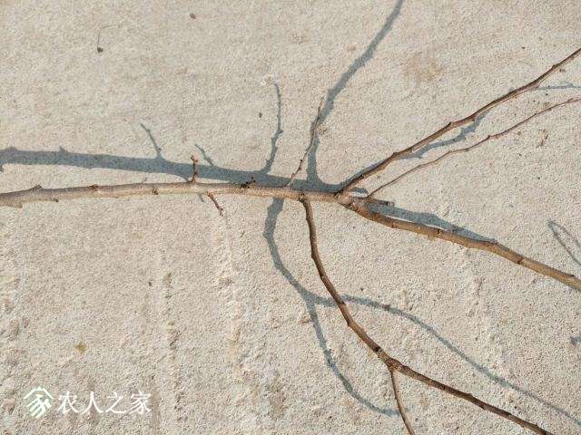 ΢ͼƬ_20180224205800.jpg