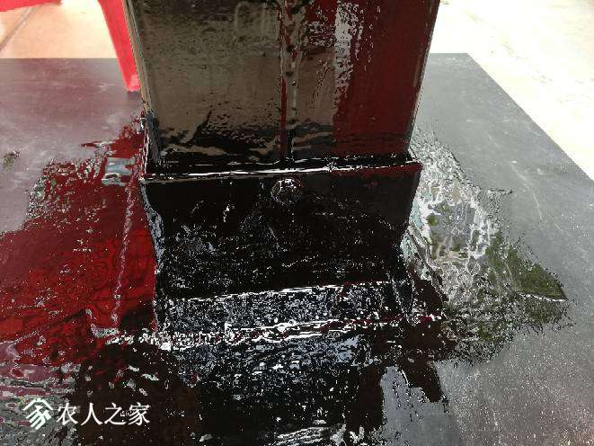 142051drzoolyfccfphopo.jpg